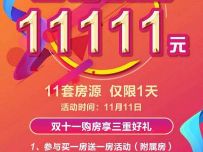 水岸学府｜双十一购房节，首付仅需11111元！