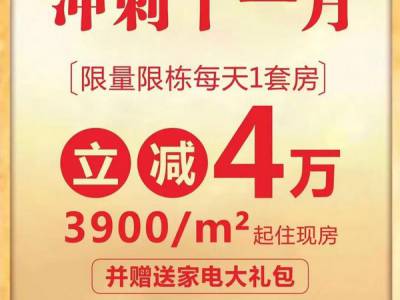 鑫源十一年，冲刺十一月|每天一套特价房