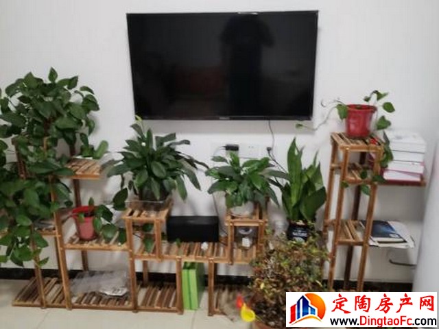 美景国际现代城 2室1厅 80平米 简单装修 1083元/月