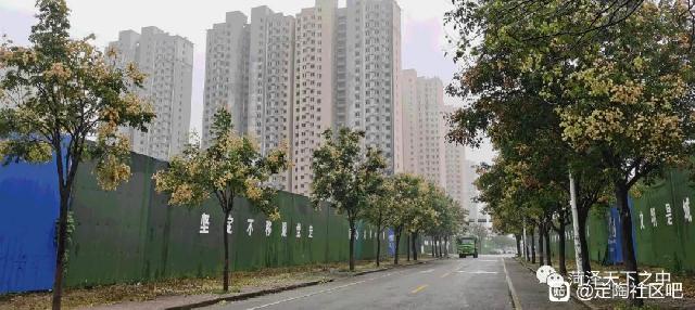 定陶老城区回迁房选房了! 定陶老城区回迁房选房了!