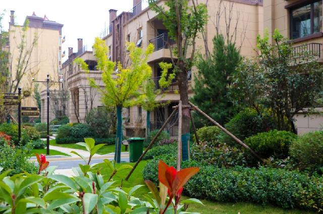 万城花开 | 学校旁、公园畔!定陶热销大盘,实景现房呈现! 万城花开 | 学校旁、公园畔!定陶热销大盘,实景现房呈现!