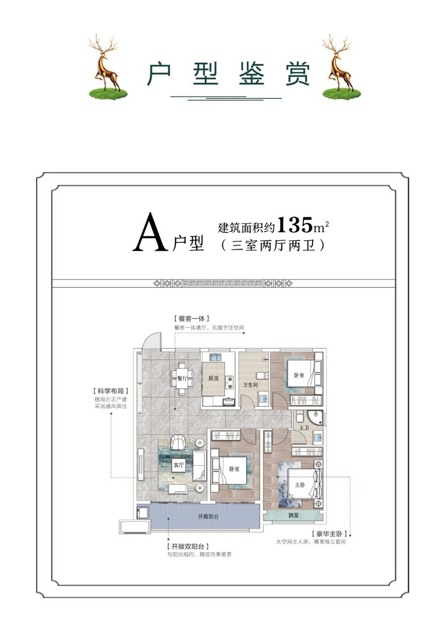 A户型